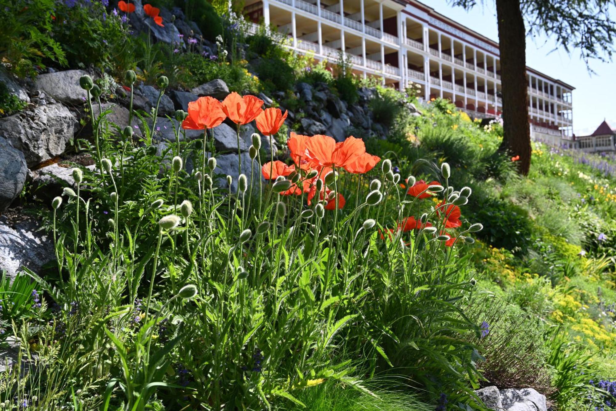 Schatzalp Hotel Davos Exterior foto